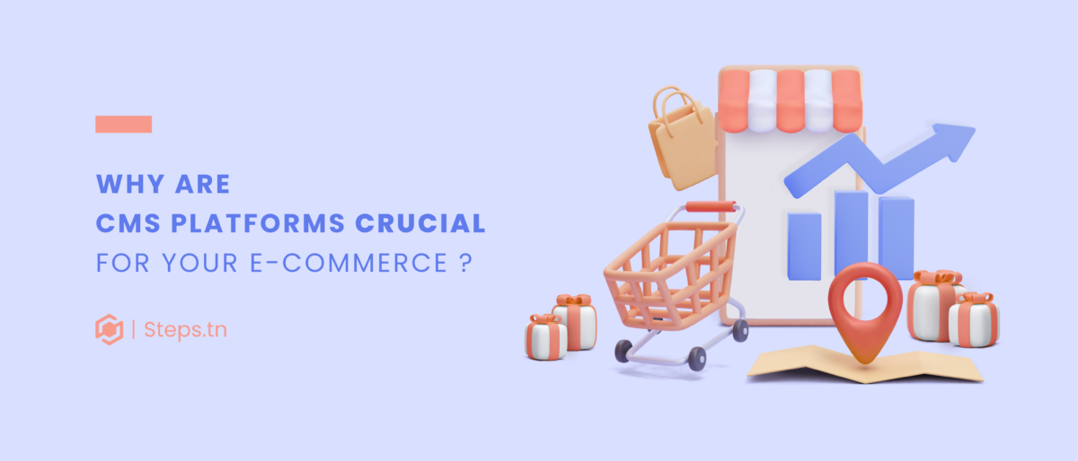 Why are CMS platforms crucial for your E-Commerce?