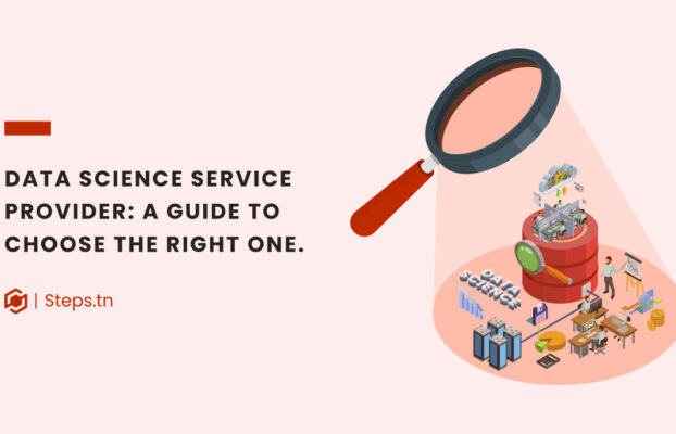 Data Science Service Providers: How To Choose?